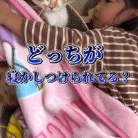 猫を寝かしつける娘