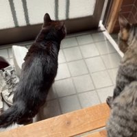 戸を見つめるふたり