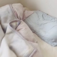 茶トラ猫が眠るベッド