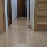 廊下奥の部屋から顔を出す猫