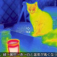 サーモグラフィの解説
