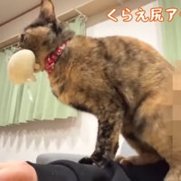 尻アタック