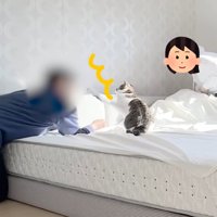 パパさんへ左前足を伸ばす猫ちゃん