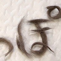 猫の抜け毛で作られた文字