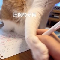 宿題に手を伸ばす