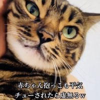飼い主さんに抱っこされながらキスされる兄ベンガル