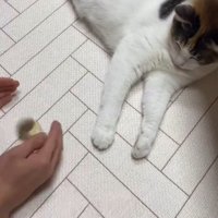 両手で物をシャカシャカ左右に振る