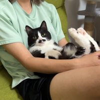 膝抱っこ