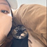 人の服の中に隠れている猫