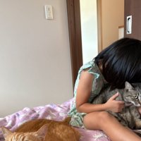 吸われる猫