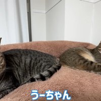 眠そうなふたり