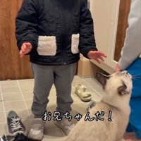 お兄ちゃんがやって来た