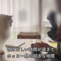 テロップ「慌ただしい時間が～」