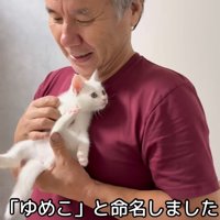 テロップ「「ゆめこ」と～」