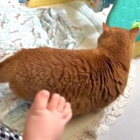 立ち上がった後ろ姿