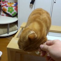 頭を傾けて