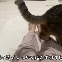 テロップ「全部の足でしっかり～」