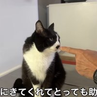 指を差し出して