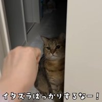 イタズラばっかり
