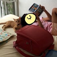 ゲームをする女の子と子猫