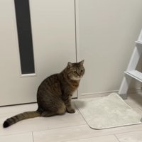 部屋のはじに逃げたみにらくん