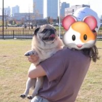 犬を抱っこする飼い主