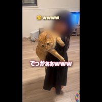 でっかぁぁ