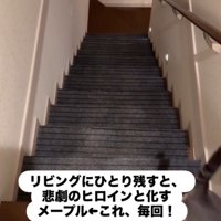 人の横を通り抜ける猫