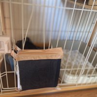 曲がったケージ