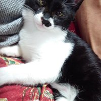まぎちゃん