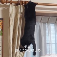元気いっぱい