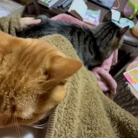 月ちゃんと空くん