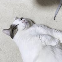 目を細めた表情