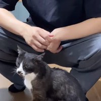 男性と猫