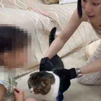 猫を手袋で挟み込むママさん