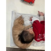 寝ている赤ちゃんと猫