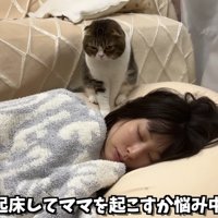 悩むぽこ太郎くん