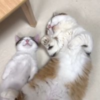 少しアップ