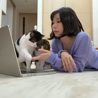 うま次郎くんとタッチ