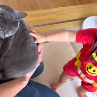 人に抱かれている猫と触っている子ども