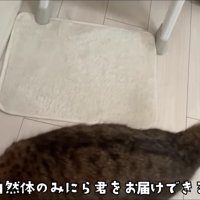 ヘッドマウント式スマホ固定スタンドで撮影し、やや画面からはみ出すみにらくん
