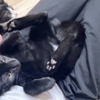 どこかを見ているロアくん