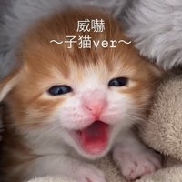 毛布に包まれながら口を大きく開けるむぎくん