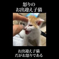 指先でなでなで