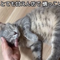 テロップ「人にはとても～」