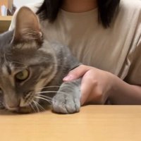おやつを食べるスピカちゃん