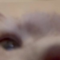 見覚えのない動画データ