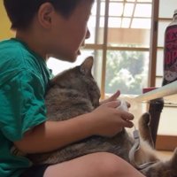 ゲームをしている男の子と猫
