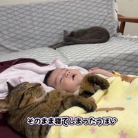 赤ちゃんと一緒の布団で寝る猫