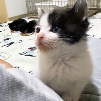 一点を見つめて